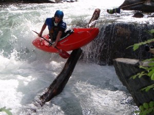 Tim Trew rail sliding on a tree.