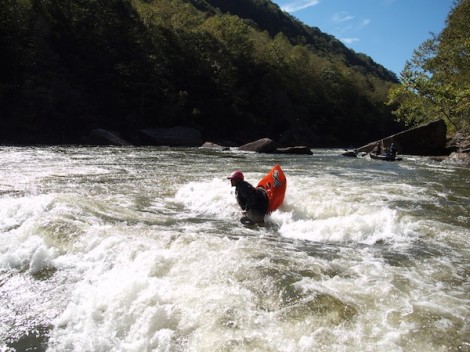 Can't go wrong with Gauley season