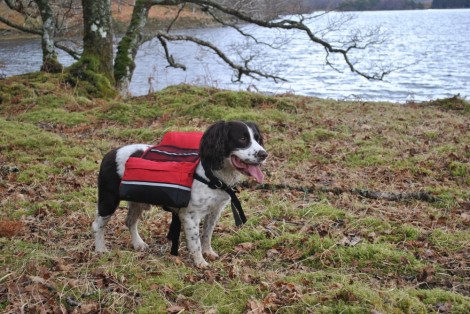 Even Rannoch has his own portage sack so as to carry his food and kit!